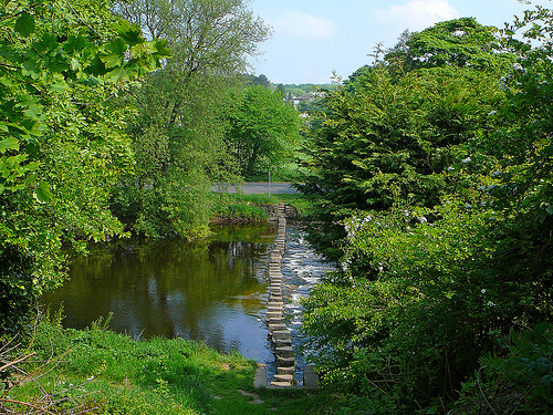 stepping stones photo