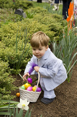 easter egg hunt photo