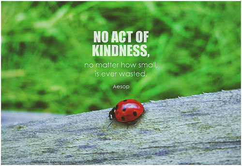 kindness sayings photo