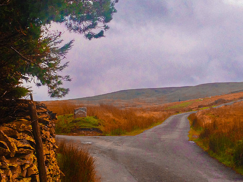 fork in the road photo