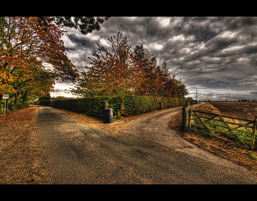 fork in the road photo